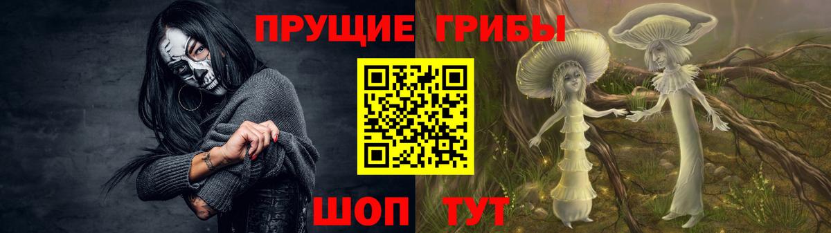 Псилоцибиновые грибы GOLDEN TEACHER  Вход с VPN  Дзержинск 